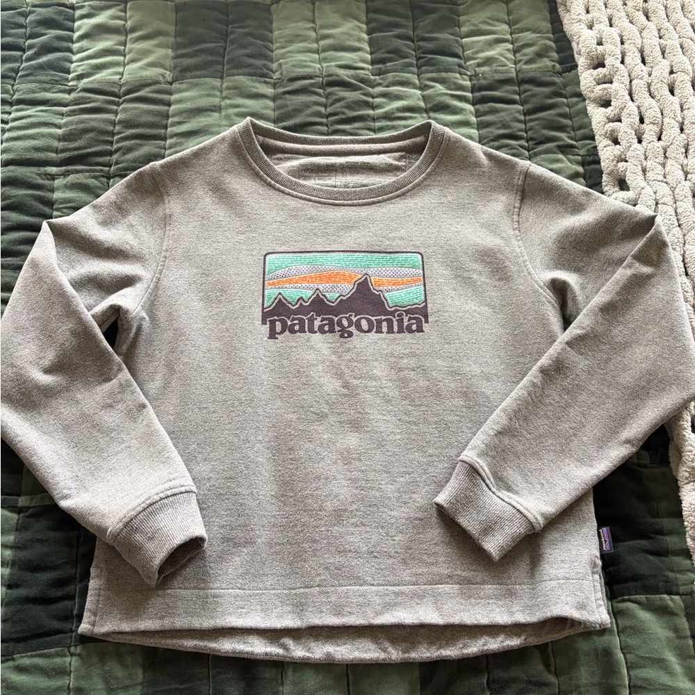 Patagonia Gray Sweatshirt